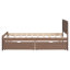 Structure de lit plateforme moderne avec 2 tiroirs-1281126555