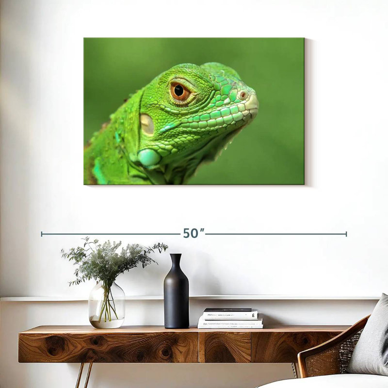 Green Lizard Closeup