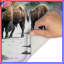Tapis de bain Bison In Winter Landscape-1957423449