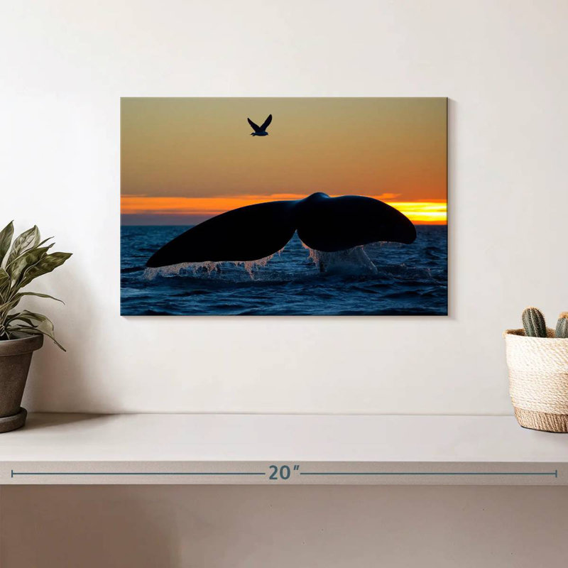 Brampt Whale Tail Sighting, 8" H x 12" W