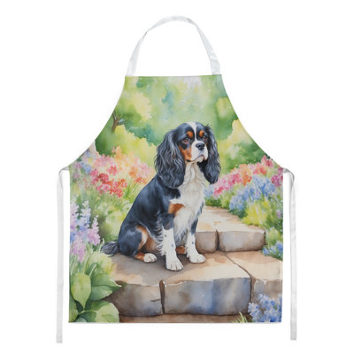 Tablier Cavalier Spaniel Spring Path