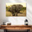 Brampt The Elephant Walk-108705347