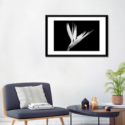 « still-life shot of a oiseau of paradise fleur », reproduction d’impression sur toile