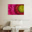 Harberk magnifié Gerbera Daisy-111885633