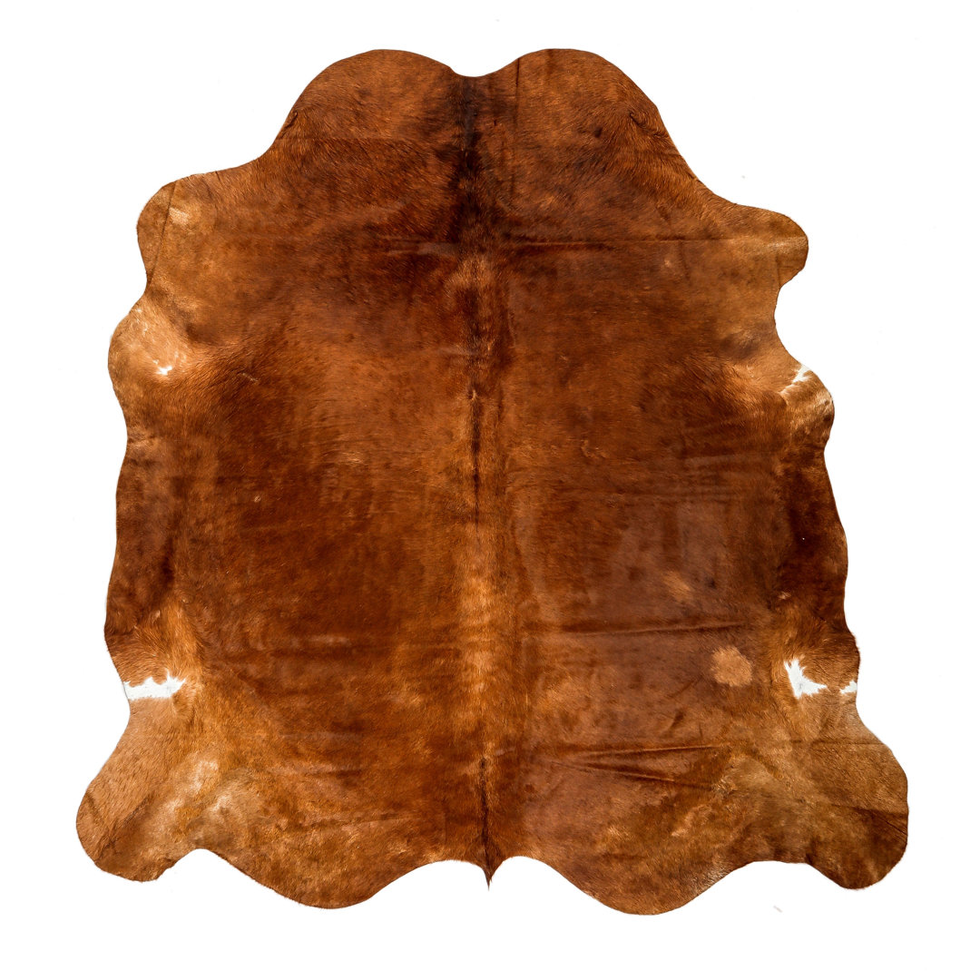 Raunds One-of-a-Kind 5'4" x 6'6" Area Rug in Tan