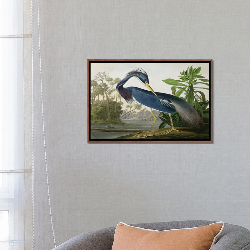 «Wick Louisiana Heron» par John James Audubon, reproduction sur toile, H 26 po x l 40 po, Impression encadrée