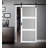 Renin 36 in. W x 84 in. H Frosted Glass Frosted and Low-Gloss Barn Door with Barn Door Hardware-1896100746