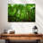 Alvord Basse-Terre Jungle-111834863