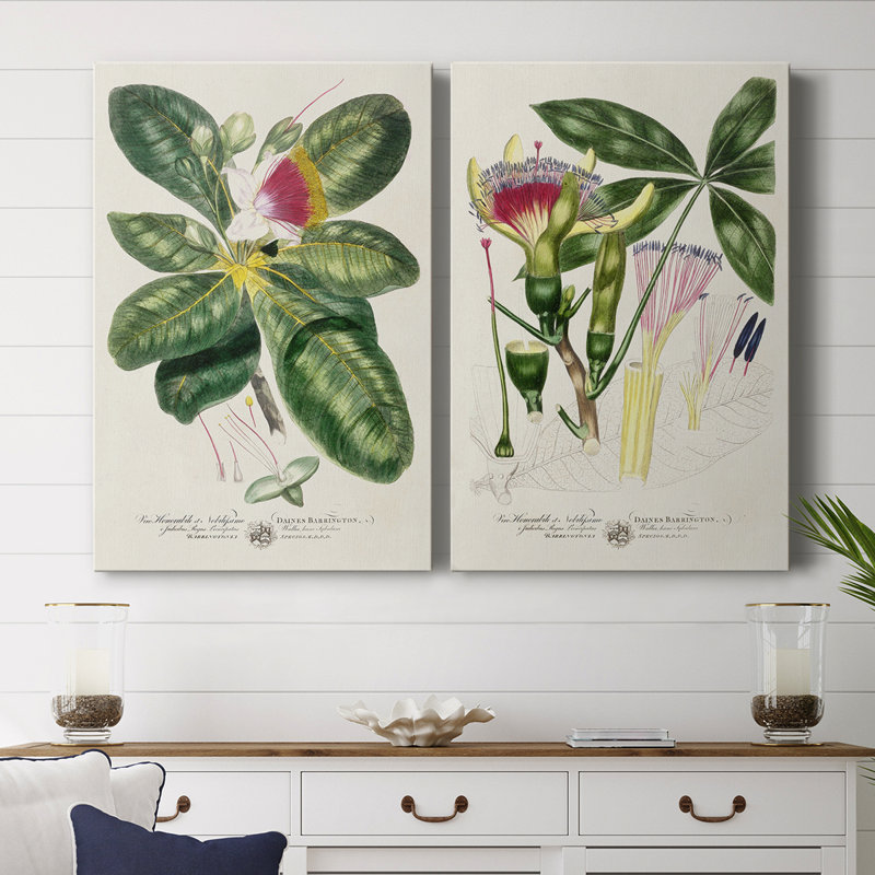 Toile tendue avec châssis Imperial I Botanical Imperial, H 48 po x l 64 po