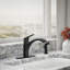 Rival Single-Handle Kitchen Sink Faucet With Side Sprayer-1867793417