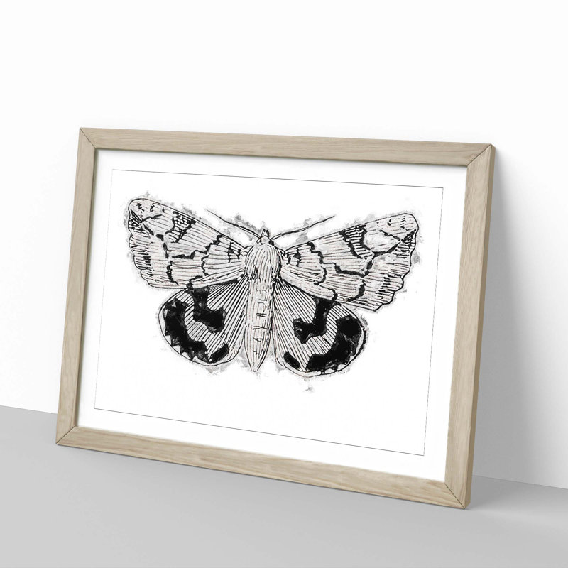 Underwing Moth by S.F. Denton - Picture Frame Painting Print, 48cm H x 65cm W x 2cm D, Oak Framed