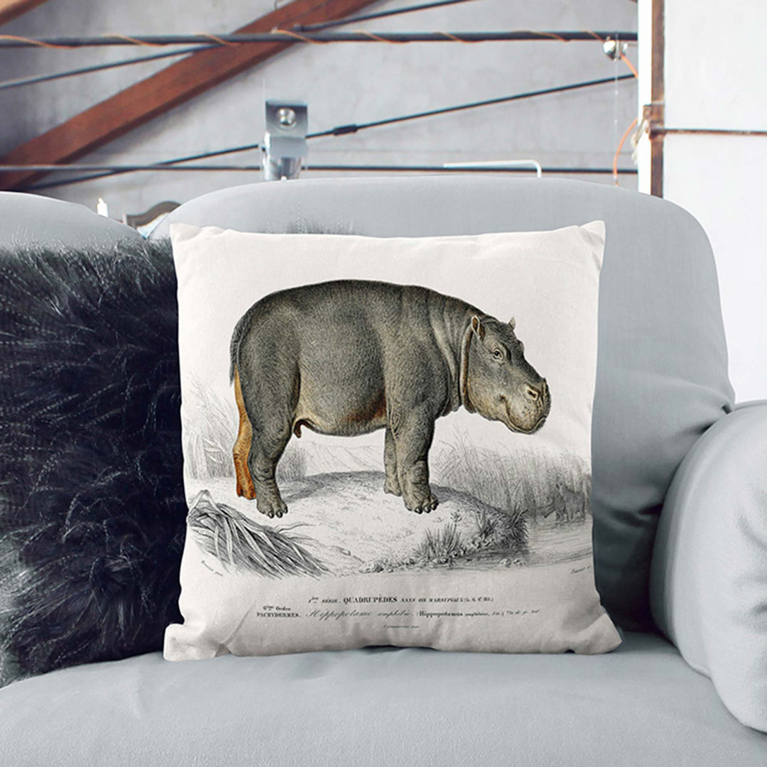 Hippopotamus Illustration by Charles D' Orbigny Cushion with Filling