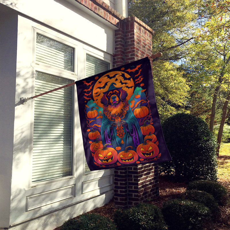 Jakameron Double Sided Polyester Halloween Garden Flag, 40" x 28"