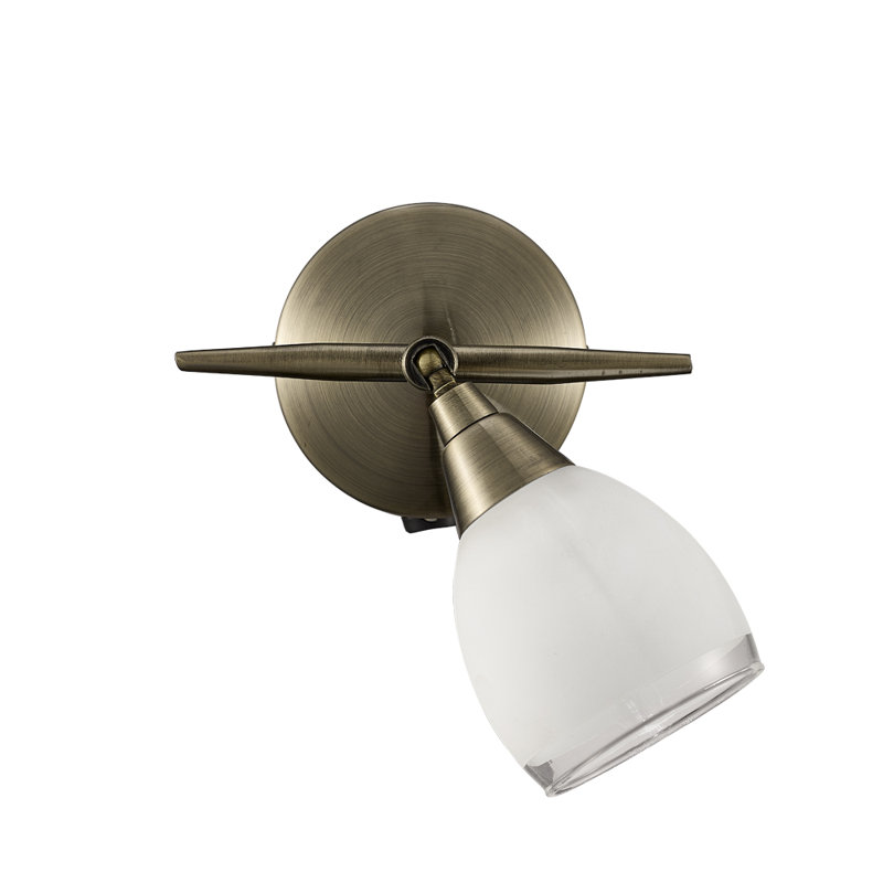 Aileny Spotlight, Bronze