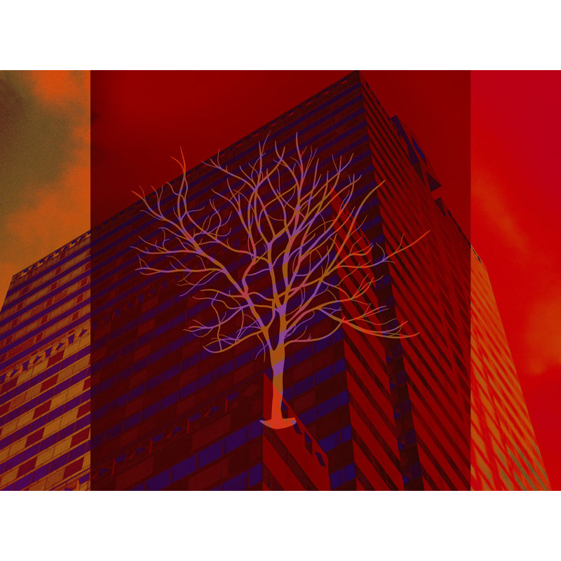 I Learn Something Everyday Print, 16" H x 20" W