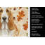 Linge de cuisine citron et blanc Basset Hound Heirloom-2083472696