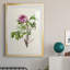 «Pretty Pink Botanicals V», reproduction de cadre photo-772318038-772318034