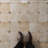 Laverton Octagon W/Taco 7-7/8 In. X 7-7/8 In. Porcelain Floor And Wall Tile-112682583