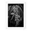Rain Forest Lily - Picture Frame Photograph on Paper-74856294-87888865