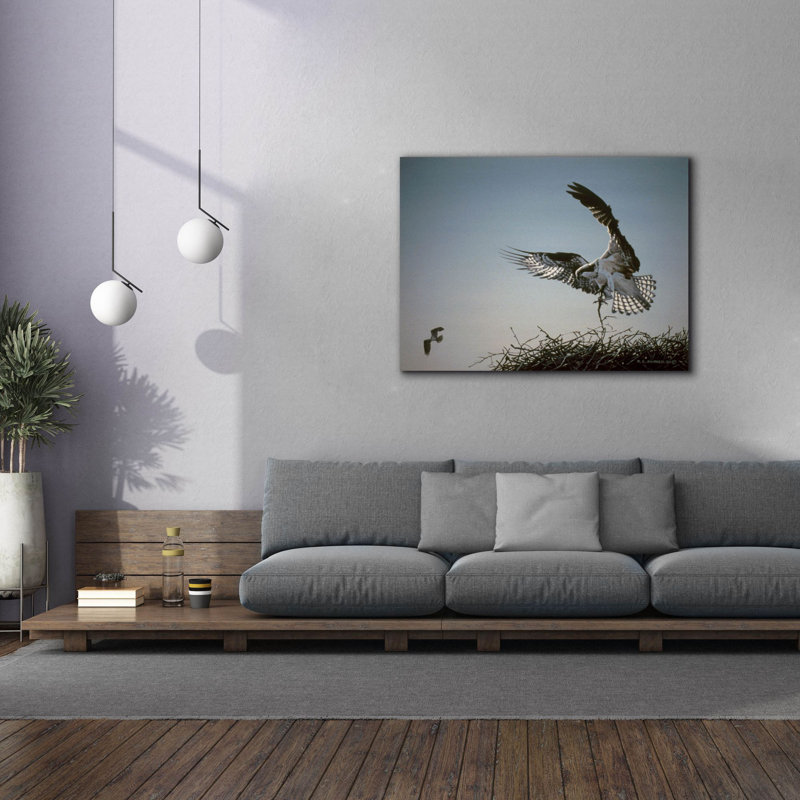 Nest Builder par Ron Parker, H 40 po x l 54 po x P 1,5 po