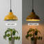 1 - Light Dome Pendant-1356561748-1356561747