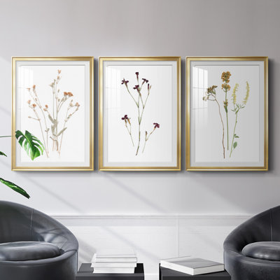 " Pressed Botanical I " 3 - Pieces