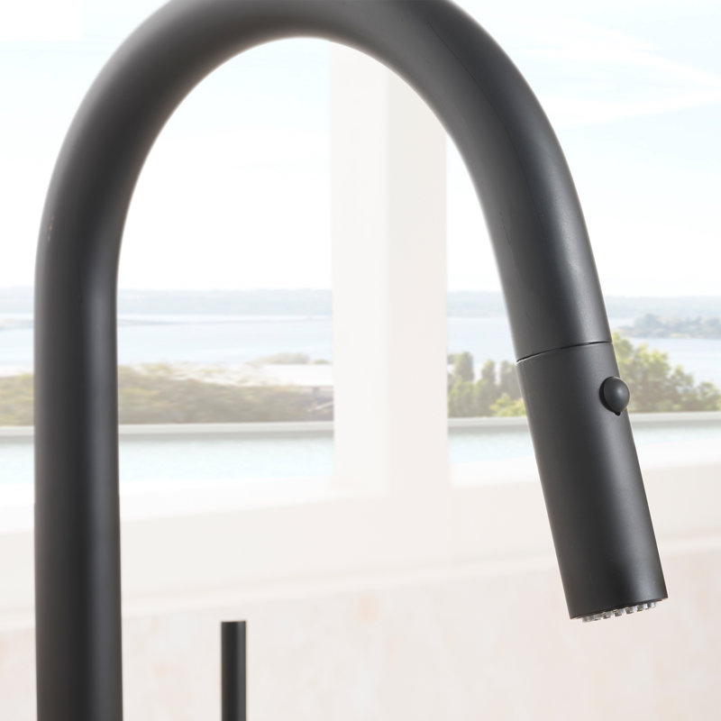 Arthur Single Handle Kitchen Faucet with Side Spray and Accessories, Matte Black