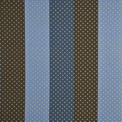 Mirabel Stripe Silk Fabric