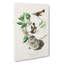 American Redstart Birds by John Audubon - Wrapped Canvas-55368643