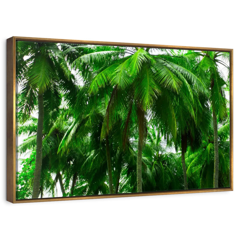 Palmier forêt, Cadre flottant doré, 13 po x 9 po