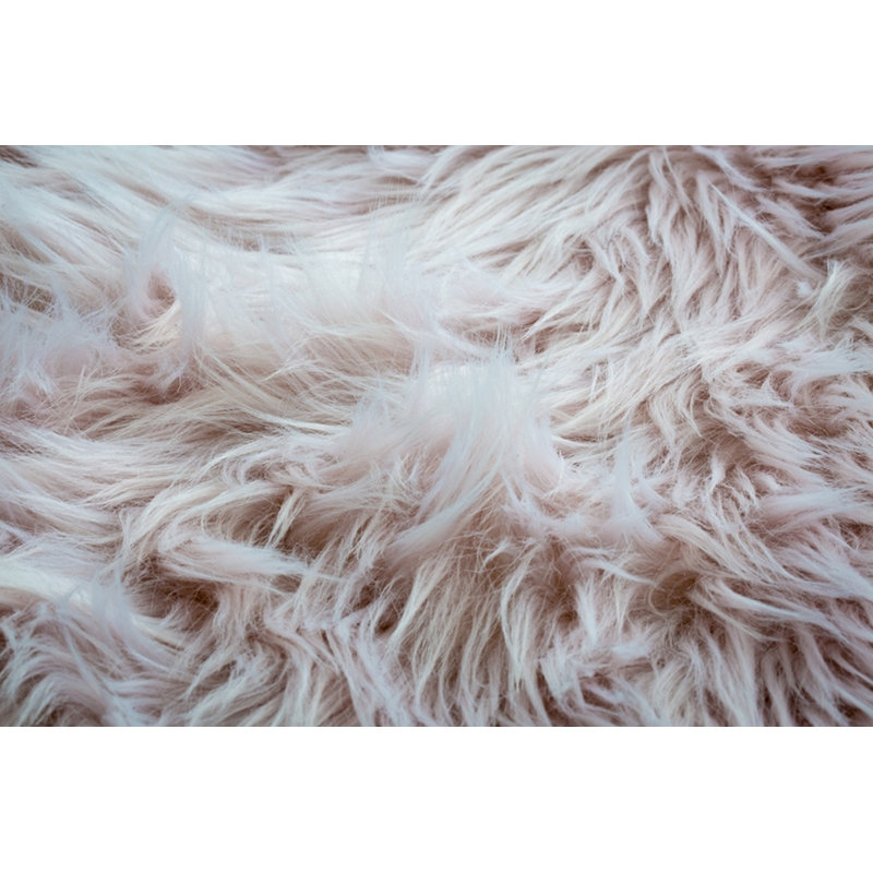 Friend Novelty 55 cm x 80 cm Area Rug