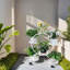 Henryville Plant Stand-1864950507