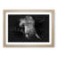 African Elephant - Picture Frame Graphic Art Print-56876343-56876350