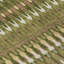 Tapis intérieur / extérieur en polyester tissé à la machine Cearah-109575687