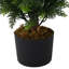 Faux Cypress Plant in Planter-1282924900