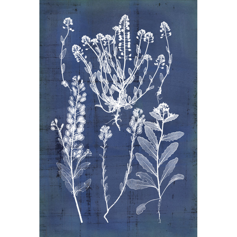 Natures Imprint III by Vision Studio - Wrapped Canvas Print, 46cm H x 30cm W