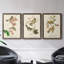 Oiseau de riz Wandering, reproduction d'art sur toile-1813864138-1813864137