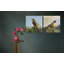 Bird Set by John Beard - Artist Enhanced Canvas Print-808082186-808521853