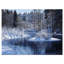 «Winter Lake in Deep Forest», reproduction de photo sur toile tendue-1045994448