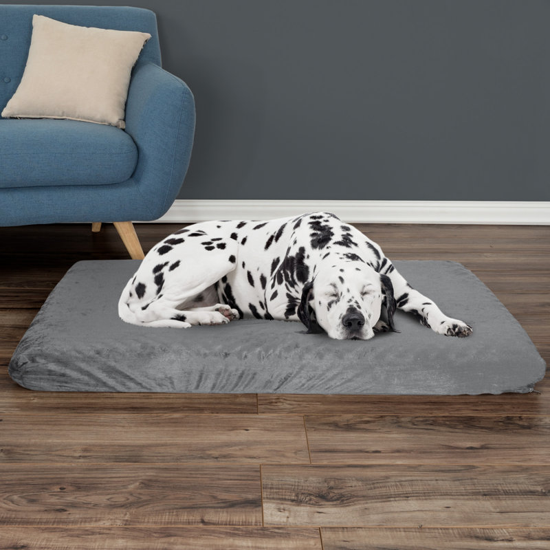 Lit pour chien orthopédique à 2 couches PETMAker, Grand (l 27 po x P 46 po x H 4 po), Gris