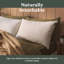 Sleepeezee Natural Feather and Down Pillow