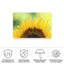 Tournesol boliné 2 sur toile-98044359