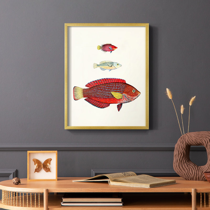 «Colorful Tropical Fish II», reproduction encadrée - bois massif, Encadrement doré, H 10 po x l 8 po