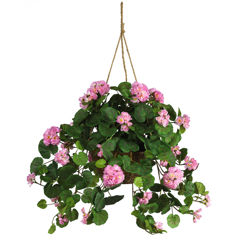 Geranium Hanging Basket Arrangement in Basket