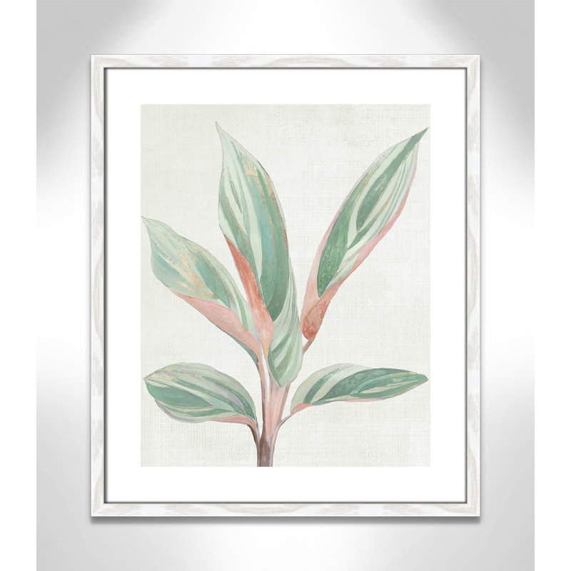 Ginger Plant I - reproduction d'art, Papier avec cadre en bois blanc, H 25,5 po x l 21,5 po x P 0,75 po