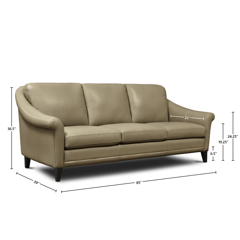 Genuine Leather 61'' Rolled Arm Loveseat, Beige Genuine Leather, 3