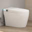 Toilette à bidet intelligente sans réservoir Piedmont