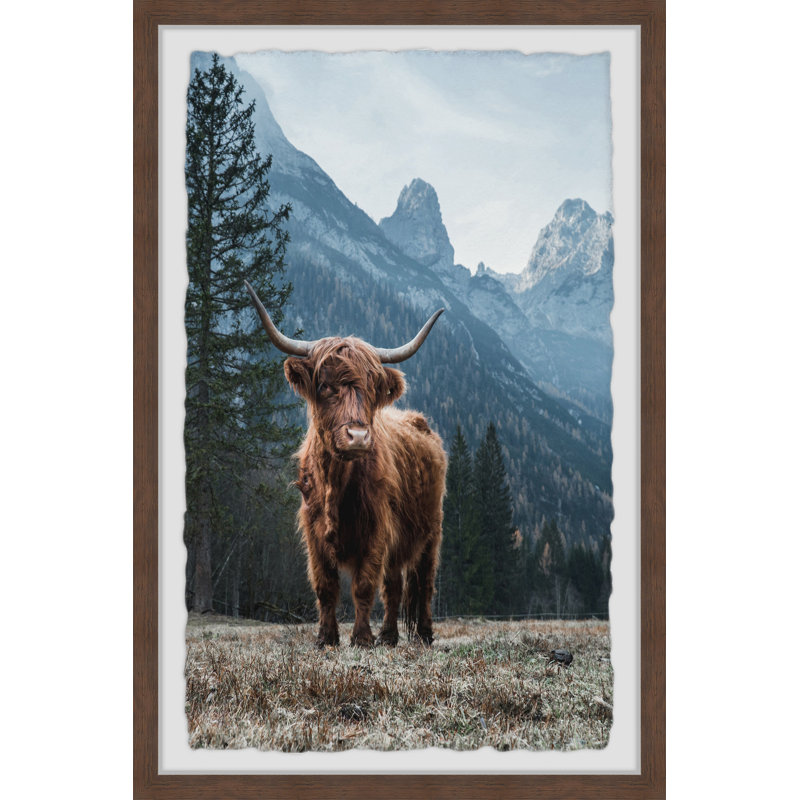 Grazing Cattle - Single Picture Frame Print, 30cm H x 20cm W x 3.81cm D
