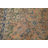 Traditional   Area Rug 10x13