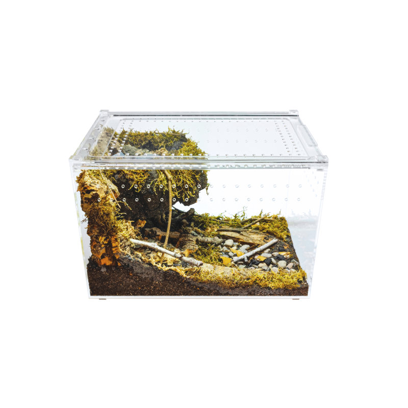12'' x Acrylic Reptile Terrarium, 3 Gallon - 8"H x 8"W x 12"D